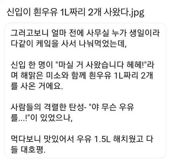 신입이 흰우유 1리터 짜리 두개사옴