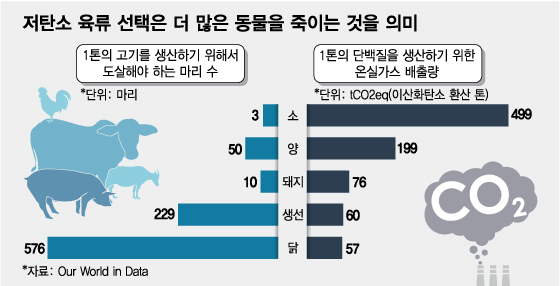 저탄소 육류 선택은 더 많은 동물을 죽이는 것을 의미/그래픽=임종철