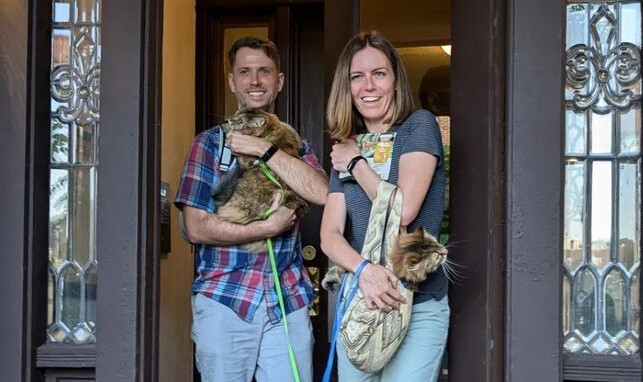 지난달 26일(현지시각) 미국 미네소타주 미니애폴리스 웨지에서 열린 ‘고양이 투어’에 참가한 가족이 고양이들을 보여주고 있다. ‘웨지 라이브’ 인스타그램