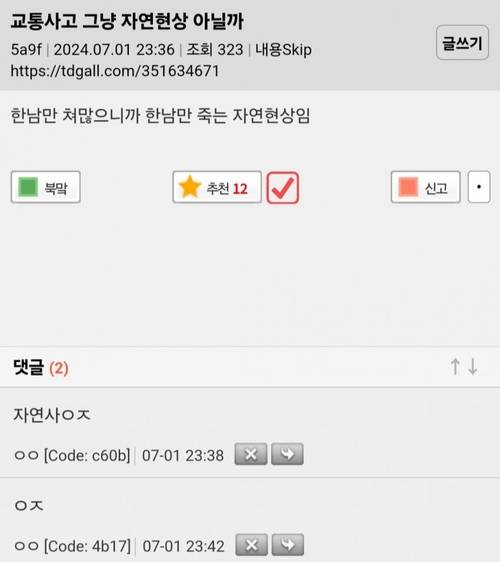 여초 커뮤니티에 올라온 교통사고 조롱글