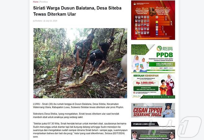 인도네시아에서 한 30대 여성이 10m 길이 비단뱀의 뱃속에서 숨진 채 발견됐다. 현지 매체 캡처