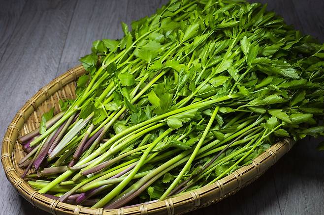 미나리/사진=클립아트코리아