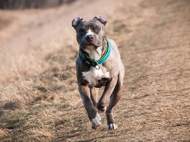 자료사진 출처=픽사베이