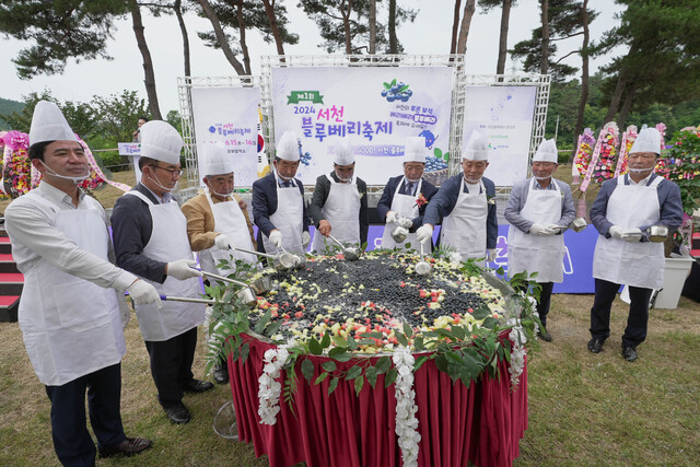최근 열린 ‘제1회 서천 블루베리 축제’에서 대형 블루베리 화채 만들기가 인기리에 진행됐다.