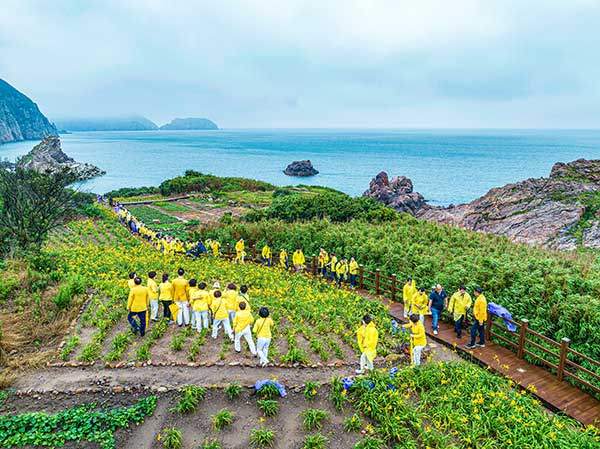 7월 홍도는 원추리의 계절이다. 홍도원추리 축제를 보기 위해 찾아온 관광객들. 올해는 7월 5일부터 14일까지 열흘간 열린다.