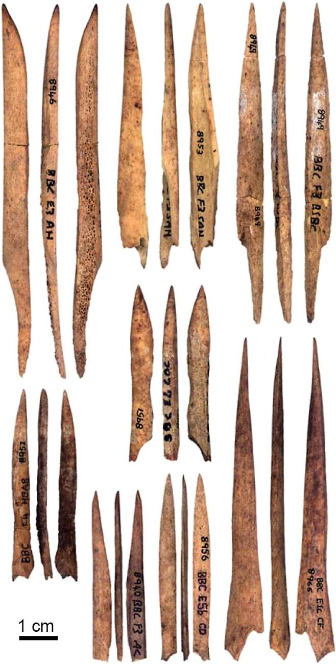 약 7만3000~7만년 전의 스틸 베이 지층에서 발견된 아프리카 남부 블롬보스 동굴의 뼈 송곳.  /F. 데리코