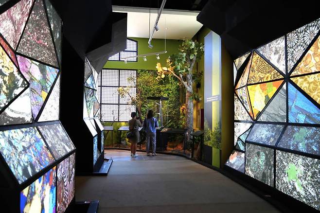 세부의 역사, 예술, 문화, 자연을 한눈에 볼 수 있는 필리핀 세부 국립 박물관