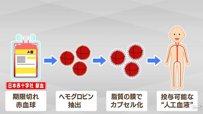 '인공 혈액'이 만들어지고 투여되는 과정을 설명한 모식도. (사진=TBS 뉴스 방송화면 캡처)