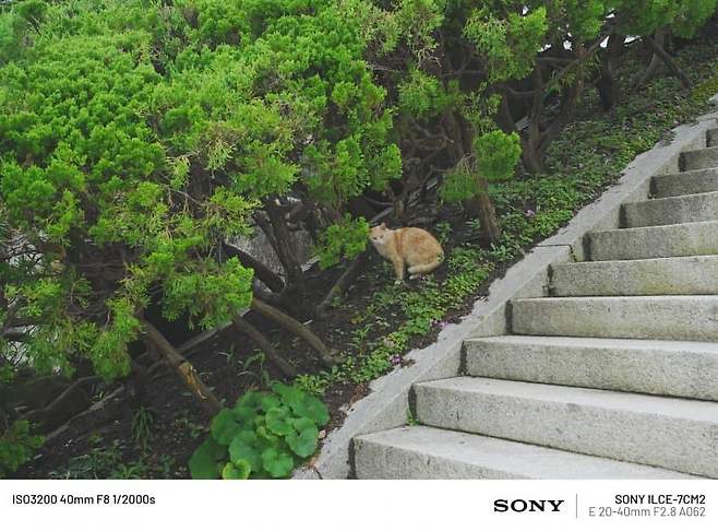 098ef376b5806ef720b5c6b236ef203ed7a597e67d064648bb