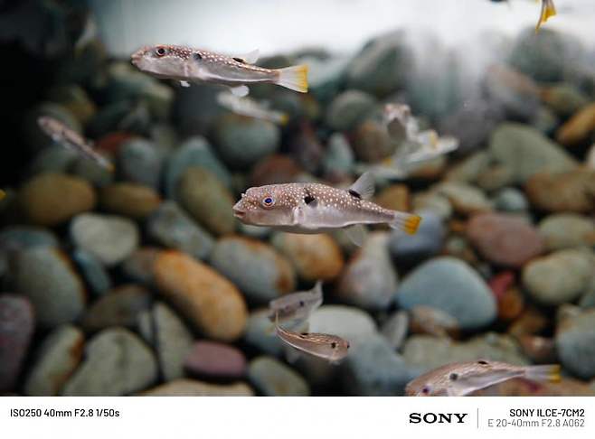 098ef376b5816bf220b5c6b236ef203e14f94c0653f9d004