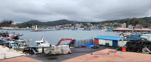 ▲ 고성군 거진읍 대진항 전경. 전인수