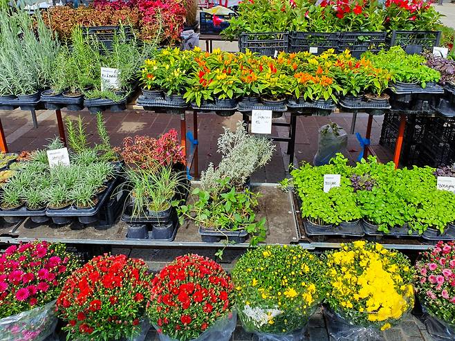 [게티이미지뱅크]