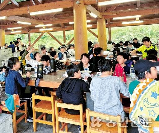 도농교류 조례에 따라 가와바촌으로 농촌 체험을 온 도쿄 세타가야구 초등학생들이 손수 캔 토란을 넣어 만든 카레를 먹으며 즐거운 시간을 보내고 있다. 군마현(일본)=지유리 기자, 전원플라자