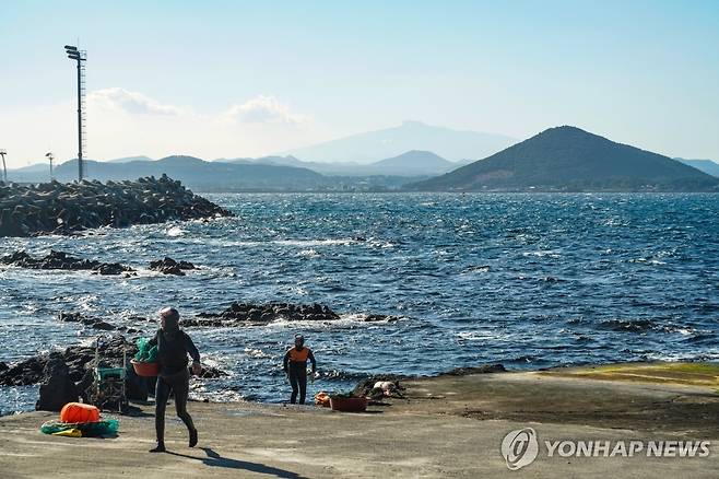 제주해녀 [연합뉴스 자료 사진]