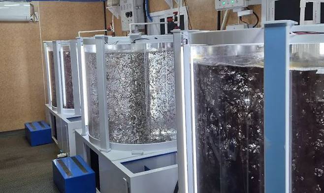 On-land seaweed is grown in a large tank called a bioreactor. Courtesy of Pulmuone