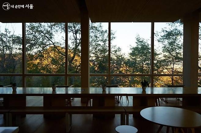 서울시 홈페이지