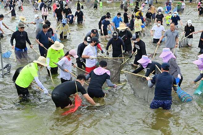 봉화은어축제 참가자들이 '은어 반두잡이'를 하고 있다. (사진=봉화군 제공) *재판매 및 DB 금지