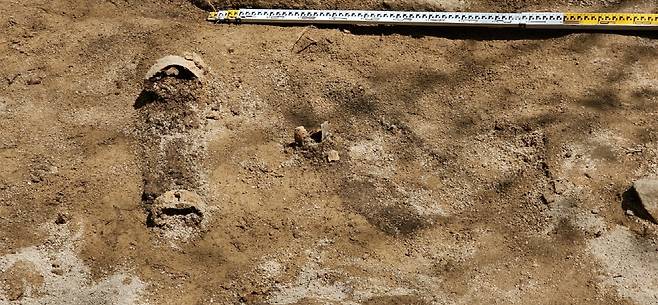 목모포 추정 부재 출토 현장 [고양시 제공, 재판매 및 DB 금지]