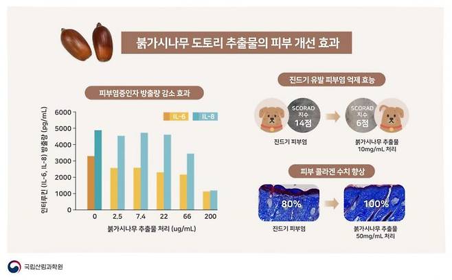 국립산림과학원 제공