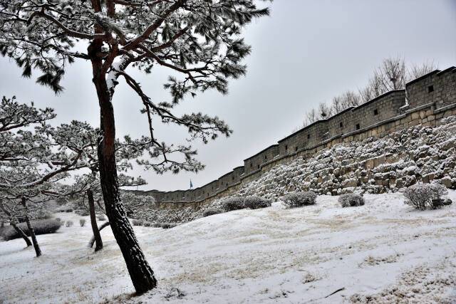 성 높이는 어디까지일까. 이강웅 고건축전문가