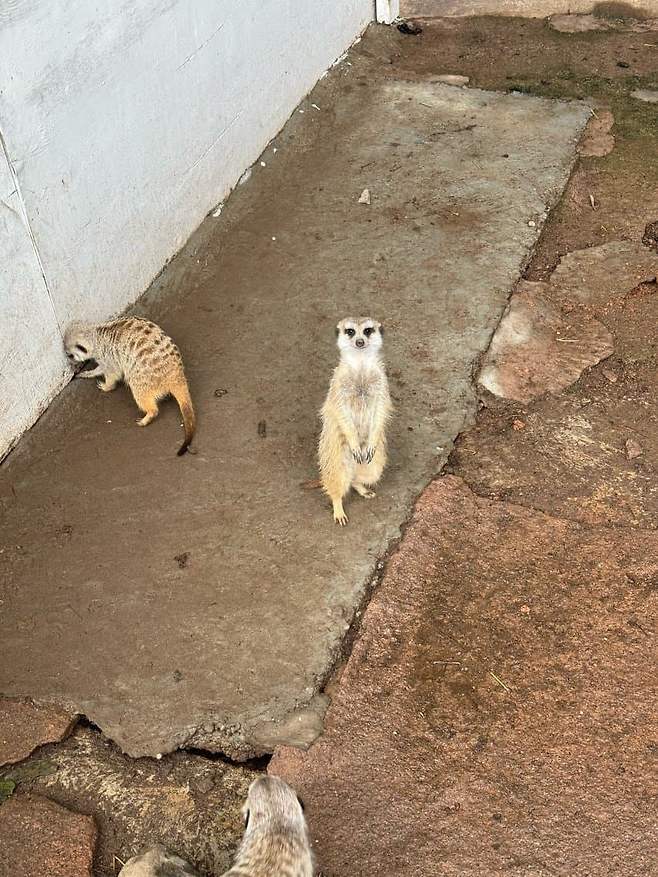 789f8572c3816ef623998290439c7064b21435e880891226d52718bae3377fff9b4ad7ae78cc9aaa4872ec6144b1bf63f3900e4928