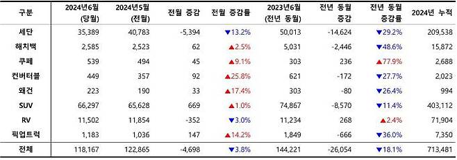 2024년 6월, 외형별 신차 등록 대수 / 출처=카이즈유데이터연구소