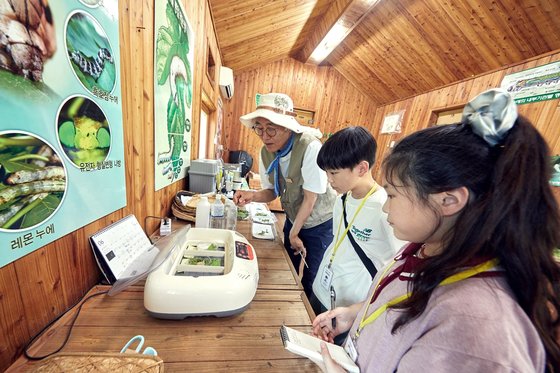 소중 학생기자단이 남명진(맨 왼쪽) 강사와 함께 누에의 일생과 실을 뽑는 원리를 알아봤다. 남 강사가 부화기에서 깨어난 1령누에에 관해 설명했다.