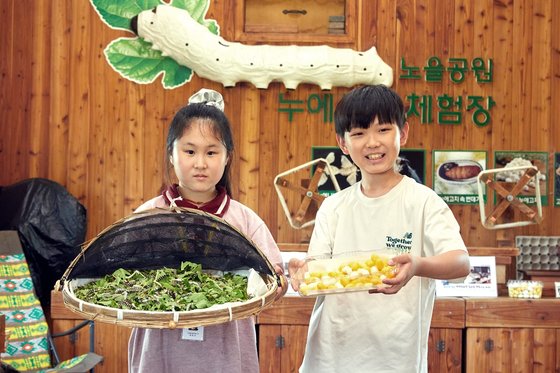 누에의 일생과 이들이 만든 실로 어떻게 비단을 직조하는지까지 알아본 최은서(왼쪽)·변우빈 학생기자. 누에는 동서양을 잇는 실크로드 탄생의 주역이기도 하다.