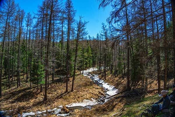 체체궁봉 하이킹의 날머리, 호르흐계곡.