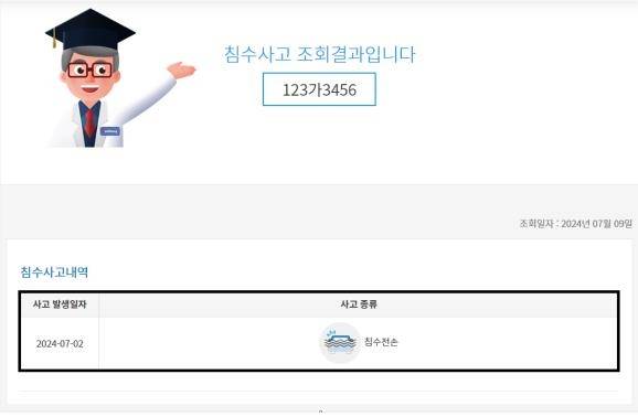 침수차량 조회 화면 [보험개발원 제공]