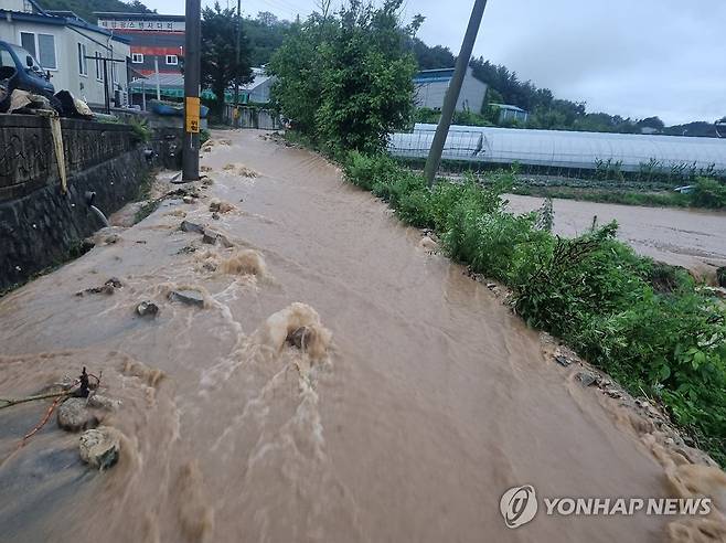 침수된 금산 추부면 일대 도로와 논밭 (금산=연합뉴스) 10일 새벽 내린 폭우로 이날 오전 충남 금산군 추부면 추정리 일대 도로와 논밭이 침수되고 있다. 기상청에 따르면 이날 0시부터 오전 5시까지 금산에는 146.5㎜의 비가 내렸다. 2024.7.10 [독자 제공. 재판매 및 DB 금지] swan@yna.co.kr