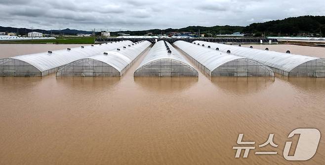 충남에 집중호우가 내린 지난 10일 부여군 세도면 간대리 일대 비닐하우스가 불어난 물에 잠겨 있다. 2024.7.10 /뉴스1 ⓒ News1 김기태 기자