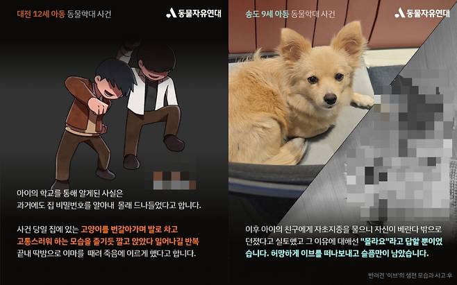 /사진=동물자유연대 홈페이지 갈무리