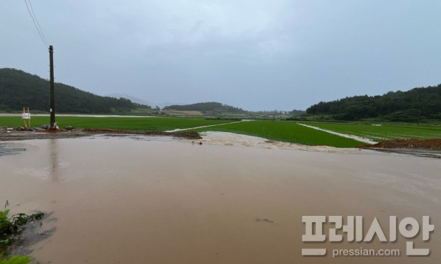 ▲16일 내린 집중호우로 해남 북평면 일대 논이 물에 잠겼다.2024.7.16ⓒ해남군