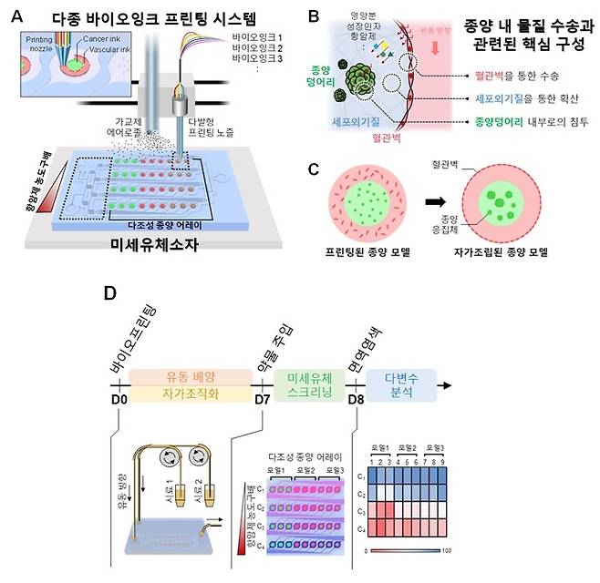 바이오프린팅을 이용한 랩온어칩 암 모델 구현 기술 개략도  [KAIST 제공. 재판매 및 DB 금지]