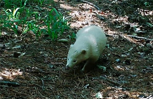 출처 : 지리산국립공원