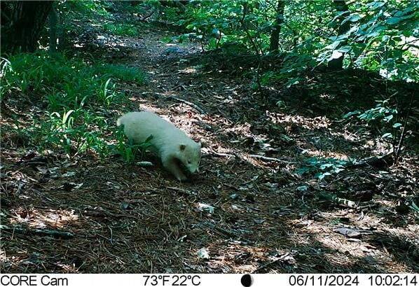 사진 = 국립공원공단 제공