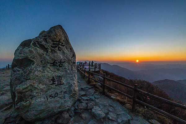 사진 양수열 기자