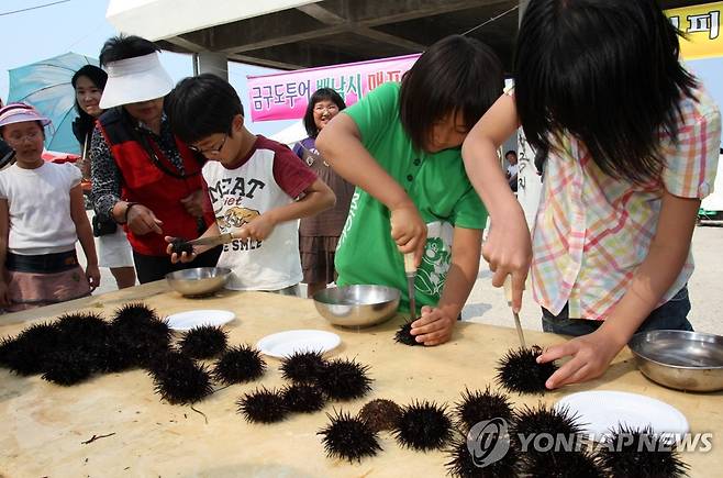 고성 초도항 성게 바다축제 [연합뉴스 자료사진]