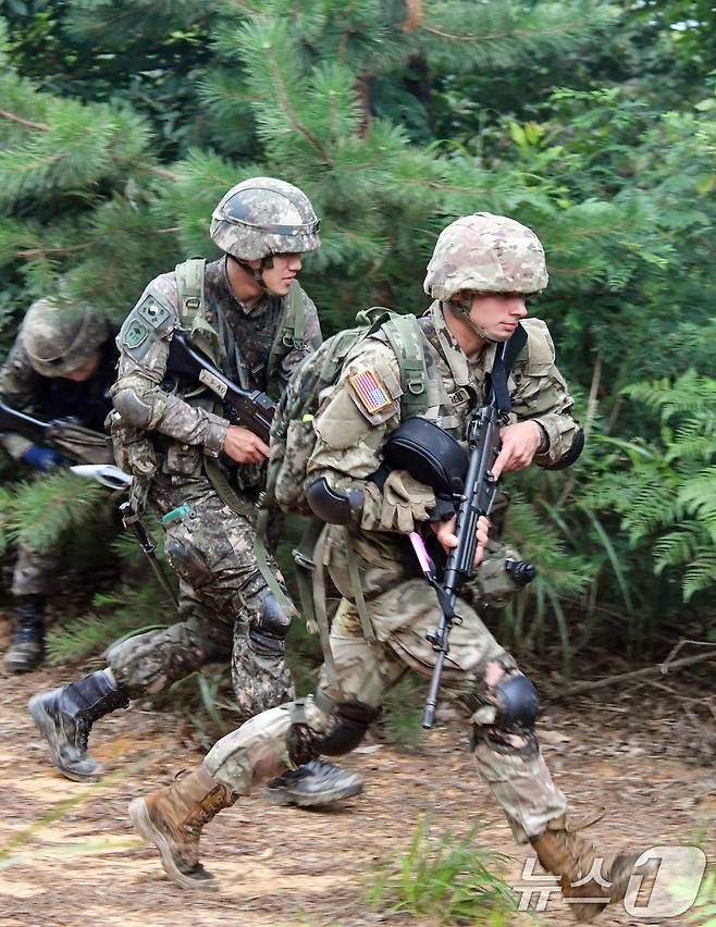 육군은 한국과 미국 육군의 ROTC 후보생들이 지난 17일부터 충북 괴산 육군학생군사학교에서 ROTC 동반훈련을 진행했다고 19일 밝혔다. 미 ROTC 4학년 후보생 40여 명이 한국 ROTC 4학년 하계입영훈련에 3일간 동참하는 방식으로 실시됐다. 한미 ROTC 후보생들이 분대공격 훈련 간 목표 확보를 위해 전술적 행동을 하고 있다. (육군 제공) 2024.7.19/뉴스1