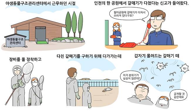 베토리(정철 수의사 제공) ⓒ 뉴스1