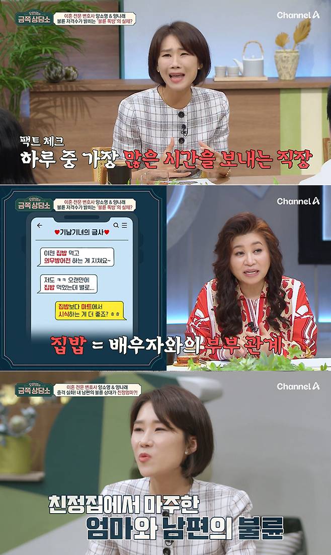 이혼 전문 변호사 양나래 /사진=채널A '오은영의 금쪽 상담소' 방송화면