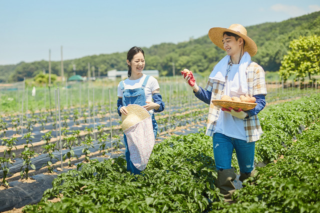 사진은 기사의 특정 내용과 관련 없음. 게티이미지뱅크