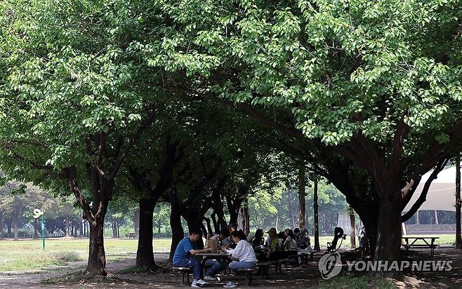 서울숲 내 나무 아래에서 휴식하는 시민 [연합뉴스 자료사진]