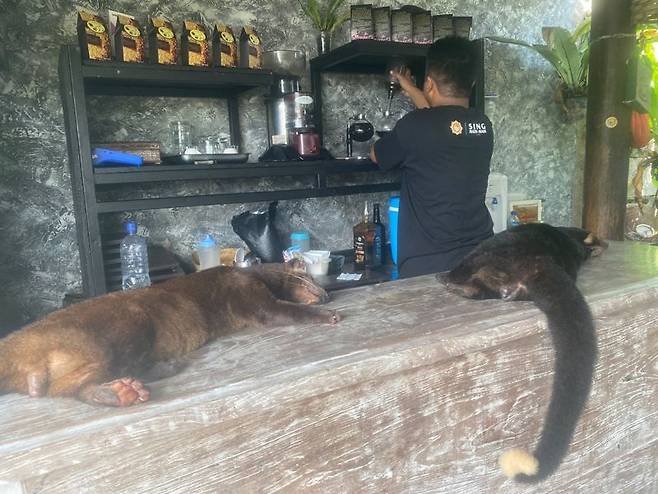 발리 '타나 롯', '가루다 공원', '울루와뚜 사원