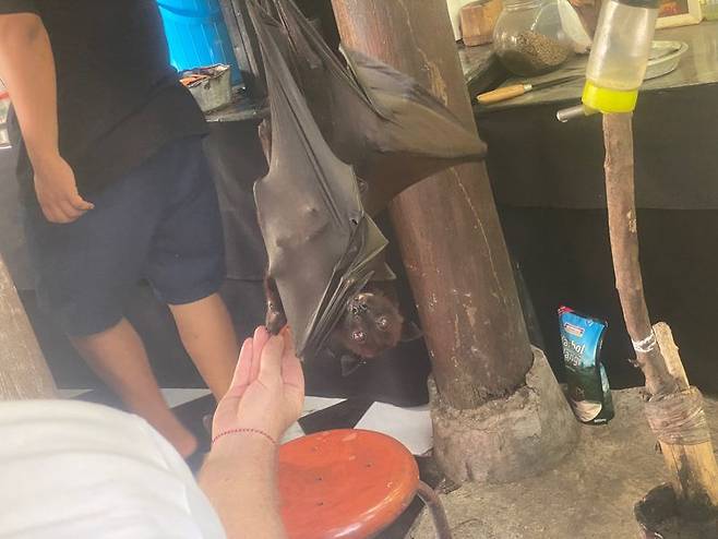 발리 '타나 롯', '가루다 공원', '울루와뚜 사원