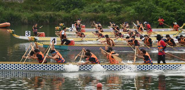 ▲ ‘2024 삼척 동해왕 이사부 축제’ 프로그램 중 하나인  ‘드래곤보트 대회’가 19일 동해안에서 처음으로 오십천 하구에서 지역 및 전국 각지 50여개팀이 참가한 가운데 열렸다.