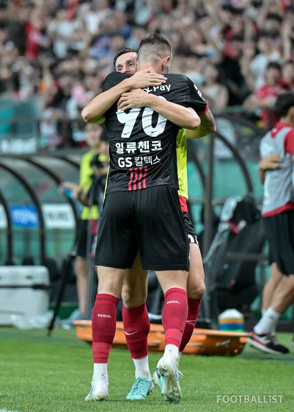 팔로세비치(왼쪽), 일류첸코(오른쪽, FC서울). 서형권 기자