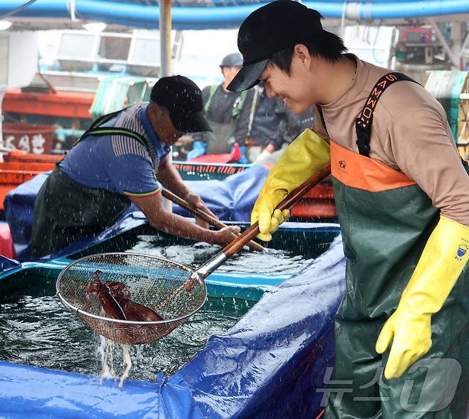 제1회 신진도 오징어&수산물 축제가 8월 2~4일 신진도항 일원에서 개최된다. (태안군 제공) /뉴스1