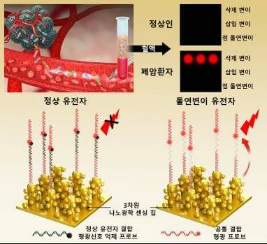 3차원 나노플라즈모닉 기반 혈액 내 돌연변이 유전자 검출 기술 대표도.